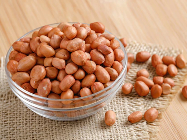 peanut exporter in gujarat