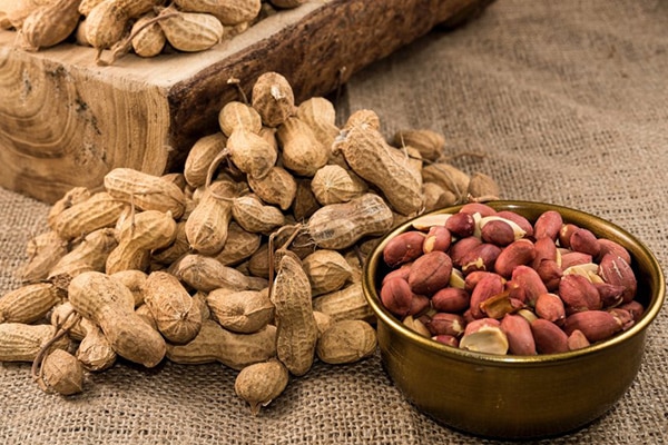 stock - peanut kernels exporters stock