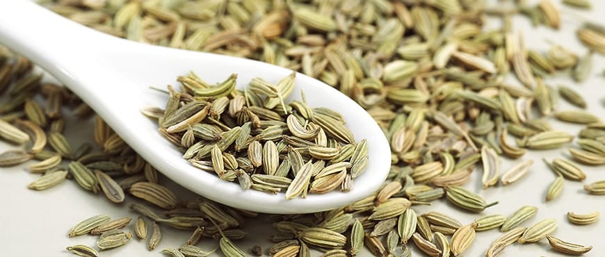  5-Essential-Benefits-Of-Fennel 5-Essential-Benefits-Of-Fennel
