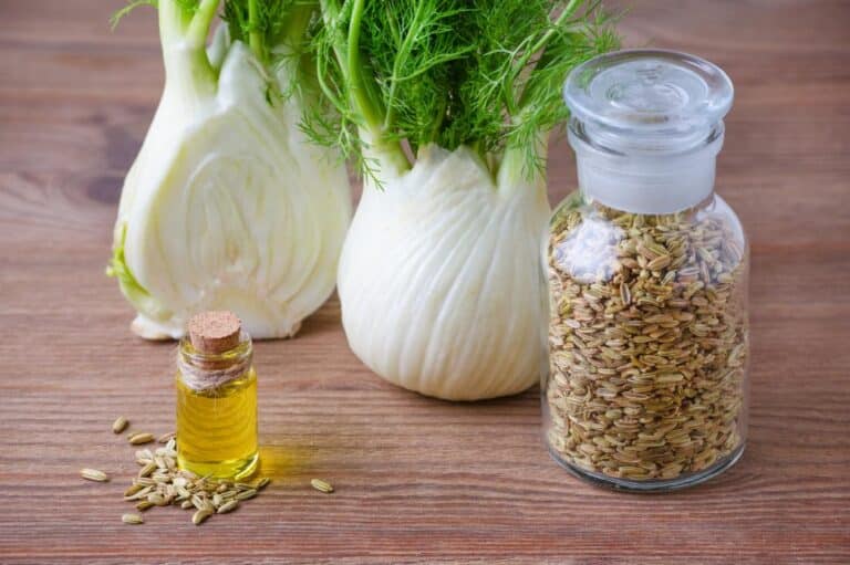  fennel-on-a-wooden-table-with-a-small-bottle-of-fennel-oil-and-some-seed-in-a-larger-jar fennel-on-a-wooden-table-with-a-small-bottle-of-fennel-oil-and-some-seed-in-a-larger-jar