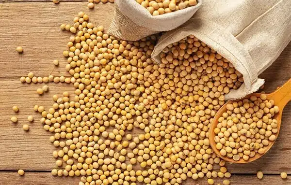  soybean-seeds-bagging-material-1 soybean-seeds-bagging-material-1
