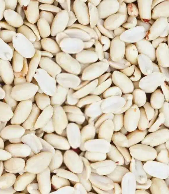  split-blanched-low-roasted-peanuts-374259815-9tyay split-blanched-low-roasted-peanuts-374259815-9tyay